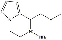 2-amino-1-propyl-3,4-dihydropyrrolo[1,2-a]pyrazin-2-ium Struktur