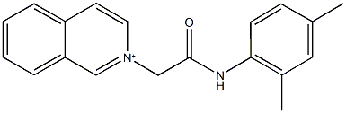 2-[2-(2,4-dimethylanilino)-2-oxoethyl]isoquinolinium Struktur