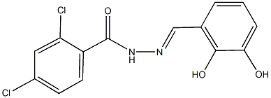 2,4-dichloro-N'-(2,3-dihydroxybenzylidene)benzohydrazide Struktur