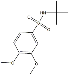 N-(tert-butyl)-3,4-dimethoxybenzenesulfonamide Struktur