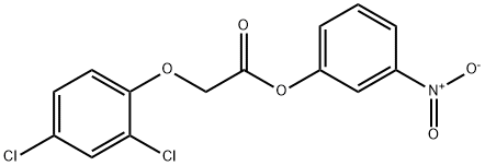 3-nitrophenyl (2,4-dichlorophenoxy)acetate Struktur