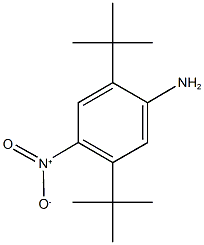 2,5-ditert-butyl-4-nitroaniline Struktur