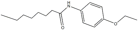 N-(4-ethoxyphenyl)octanamide Struktur