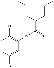 N-(5-chloro-2-methoxyphenyl)-2-propylpentanamide Struktur