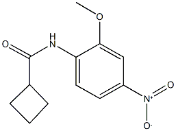 N-{4-nitro-2-methoxyphenyl}cyclobutanecarboxamide Struktur