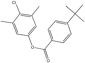 4-chloro-3,5-dimethylphenyl 4-tert-butylbenzoate Struktur