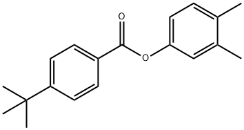 3,4-dimethylphenyl 4-tert-butylbenzoate Struktur