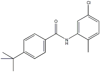 4-tert-butyl-N-(5-chloro-2-methylphenyl)benzamide Struktur