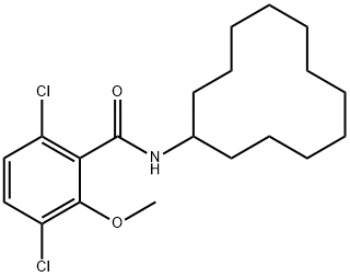 3,6-dichloro-N-cyclododecyl-2-methoxybenzamide Struktur