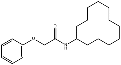 N-cyclododecyl-2-phenoxyacetamide Struktur