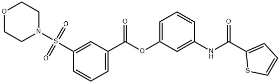 3-[(2-thienylcarbonyl)amino]phenyl 3-(4-morpholinylsulfonyl)benzoate Struktur