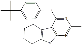 4-(4-tert-butylphenoxy)-2-methyl-5,6,7,8-tetrahydro[1]benzothieno[2,3-d]pyrimidine Struktur