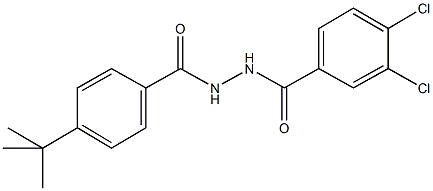 N'-(4-tert-butylbenzoyl)-3,4-dichlorobenzohydrazide Struktur