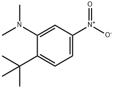 2-tert-butyl-N,N-dimethyl-5-nitroaniline Struktur