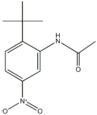 N-{2-tert-butyl-5-nitrophenyl}acetamide