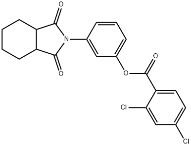 3-(1,3-dioxooctahydro-2H-isoindol-2-yl)phenyl 2,4-dichlorobenzoate Struktur