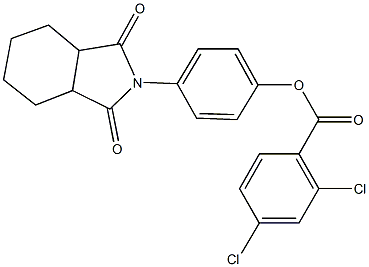 4-(1,3-dioxooctahydro-2H-isoindol-2-yl)phenyl 2,4-dichlorobenzoate Struktur