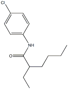 N-(4-chlorophenyl)-2-ethylhexanamide Struktur