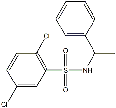 2,5-dichloro-N-(1-phenylethyl)benzenesulfonamide Struktur