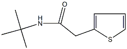 N-(tert-butyl)-2-(2-thienyl)acetamide Struktur