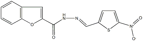 N'-({5-nitro-2-thienyl}methylene)-1-benzofuran-2-carbohydrazide Struktur