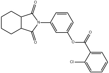 3-(1,3-dioxooctahydro-2H-isoindol-2-yl)phenyl 2-chlorobenzoate Struktur