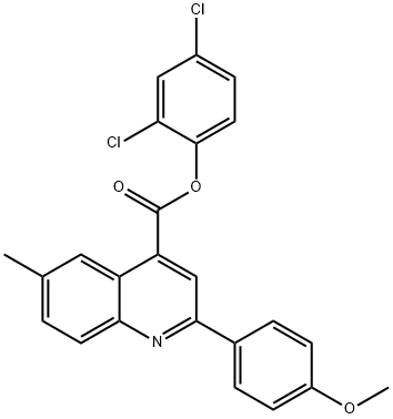 2,4-dichlorophenyl 2-(4-methoxyphenyl)-6-methyl-4-quinolinecarboxylate Struktur