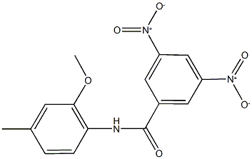 3,5-bisnitro-N-(2-methoxy-4-methylphenyl)benzamide Struktur