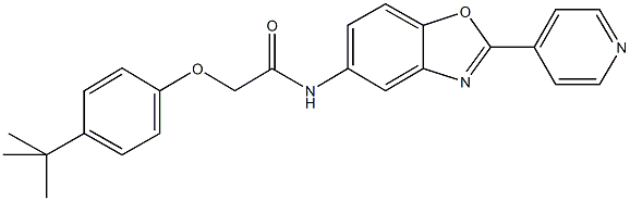 2-(4-tert-butylphenoxy)-N-[2-(4-pyridinyl)-1,3-benzoxazol-5-yl]acetamide Struktur