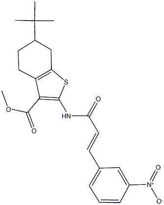 methyl 6-tert-butyl-2-[(3-{3-nitrophenyl}acryloyl)amino]-4,5,6,7-tetrahydro-1-benzothiophene-3-carboxylate Struktur