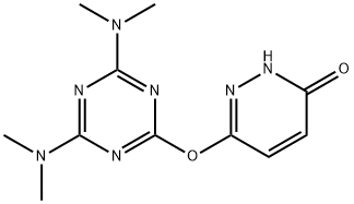 6-{[4,6-bis(dimethylamino)-1,3,5-triazin-2-yl]oxy}-3-pyridazinol Struktur