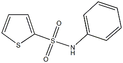 N-phenyl-2-thiophenesulfonamide Struktur