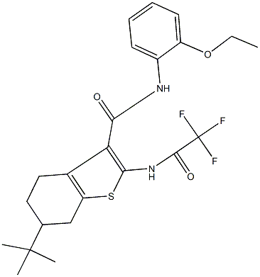 6-tert-butyl-N-(2-ethoxyphenyl)-2-[(trifluoroacetyl)amino]-4,5,6,7-tetrahydro-1-benzothiophene-3-carboxamide Struktur