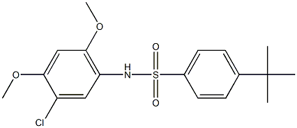 4-tert-butyl-N-(5-chloro-2,4-dimethoxyphenyl)benzenesulfonamide Struktur