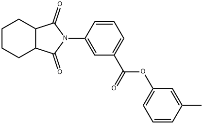 3-methylphenyl 3-(1,3-dioxooctahydro-2H-isoindol-2-yl)benzoate Struktur