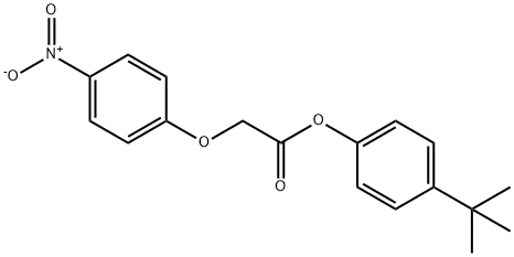 4-tert-butylphenyl {4-nitrophenoxy}acetate Struktur