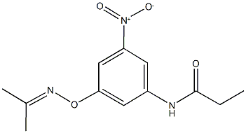 N-(3-nitro-5-{[(1-methylethylidene)amino]oxy}phenyl)propanamide Struktur