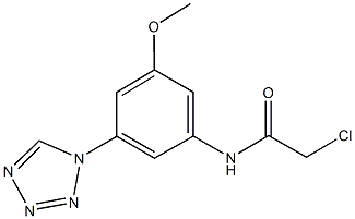 2-chloro-N-[3-methoxy-5-(1H-tetraazol-1-yl)phenyl]acetamide Struktur