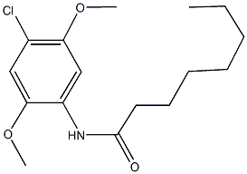 N-(4-chloro-2,5-dimethoxyphenyl)octanamide Struktur