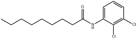 N-(2,3-dichlorophenyl)nonanamide Struktur