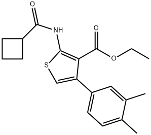 ethyl 2-[(cyclobutylcarbonyl)amino]-4-(3,4-dimethylphenyl)-3-thiophenecarboxylate Struktur