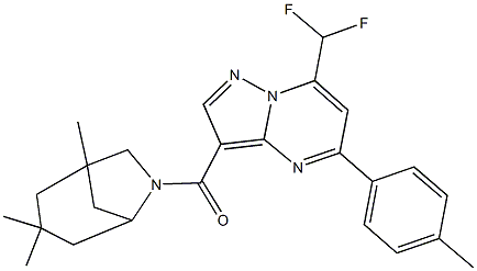 7-(difluoromethyl)-5-(4-methylphenyl)-3-[(1,3,3-trimethyl-6-azabicyclo[3.2.1]oct-6-yl)carbonyl]pyrazolo[1,5-a]pyrimidine Struktur