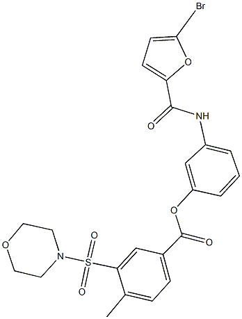 3-[(5-bromo-2-furoyl)amino]phenyl 4-methyl-3-(morpholin-4-ylsulfonyl)benzoate Struktur