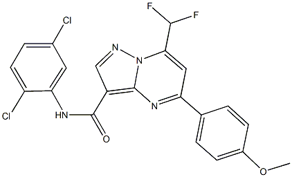 N-(2,5-dichlorophenyl)-7-(difluoromethyl)-5-(4-methoxyphenyl)pyrazolo[1,5-a]pyrimidine-3-carboxamide Struktur