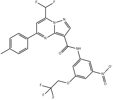 7-(difluoromethyl)-N-[3-nitro-5-(2,2,2-trifluoroethoxy)phenyl]-5-(4-methylphenyl)pyrazolo[1,5-a]pyrimidine-3-carboxamide Struktur