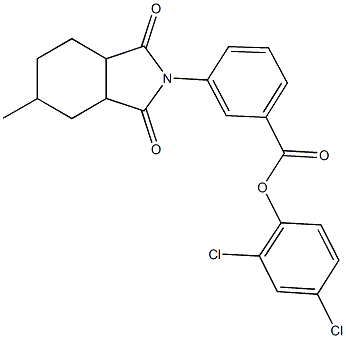 2,4-dichlorophenyl 3-(5-methyl-1,3-dioxooctahydro-2H-isoindol-2-yl)benzoate Struktur