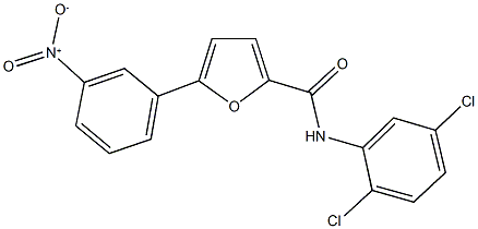 N-(2,5-dichlorophenyl)-5-{3-nitrophenyl}-2-furamide Struktur