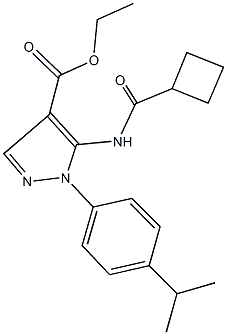 ethyl 5-[(cyclobutylcarbonyl)amino]-1-(4-isopropylphenyl)-1H-pyrazole-4-carboxylate Struktur