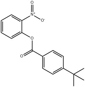 2-nitrophenyl 4-tert-butylbenzoate Struktur