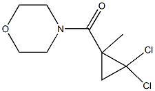 4-[(2,2-dichloro-1-methylcyclopropyl)carbonyl]morpholine Struktur